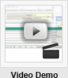 Video Demo