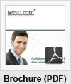 Brochure (PDF)